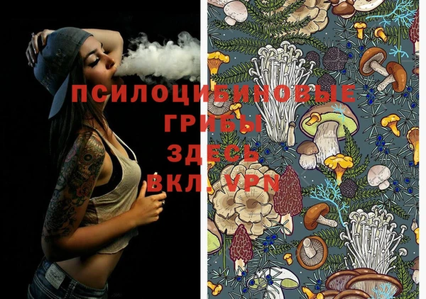 альфа пвп Кукмор